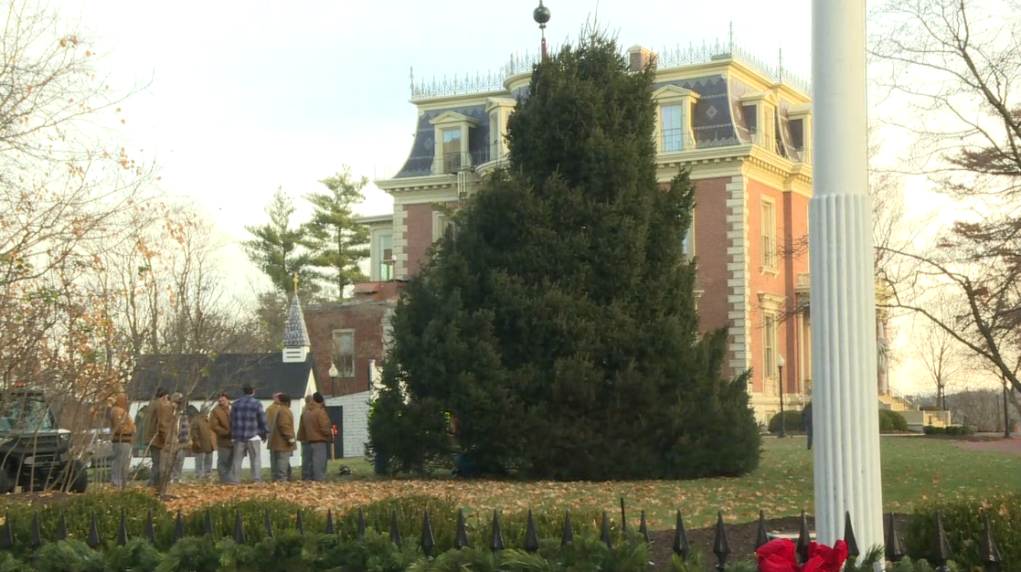 Governor's mansion tree